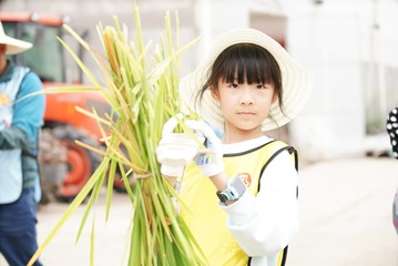 E1544B0C-6F57-4576-B57B-6367D5E9B18C/L0/001