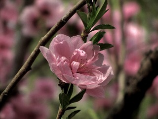 8F418AE9-7512-4BBD-B86B-F8EA78C22E6A/L0/001