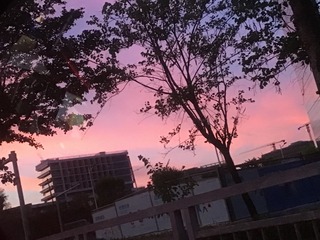 C46DBB61-6C61-4853-8D66-A79021D78917/L0/001
