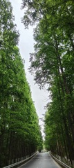 1000077862