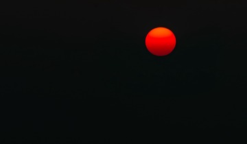 1157814