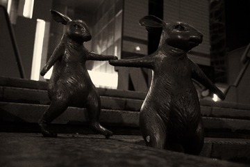 97182273-E773-4B5D-BC52-AFCD53168355/L0/001