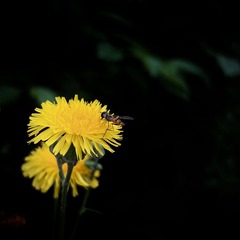 17F8DB10-D029-4E83-991F-2080627CE83D/L0/001
