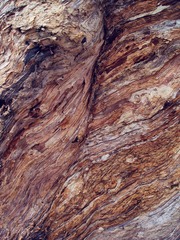 P1010129