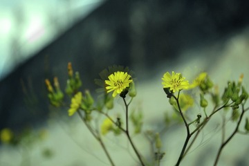 DSC_0对我0诉讼收缩2.jpg