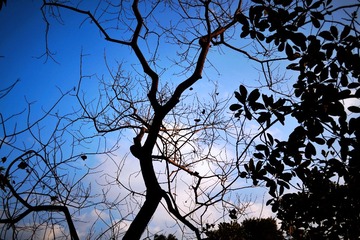 DSC_00993.jpg