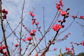 DSC_0031.JPG