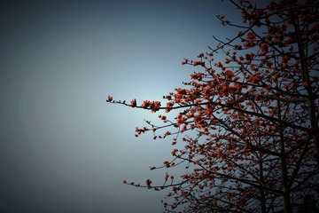 DSC_0004的.jpg