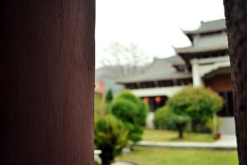 DSC_0202.jpg