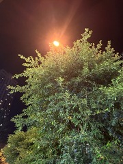 42E32228-54EA-4AB3-9D46-D9825E8040B3/L0/001