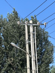 481CF91F-EDDE-4CE1-81F1-B257B8658EAB/L0/001