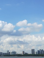 2159586