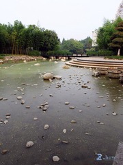 IMG_0192.JPG