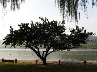IMG_0346.JPG