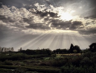IMG_0546_7_8_tonemapped.jpg