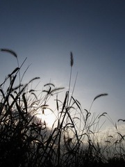 IMG_0534.JPG