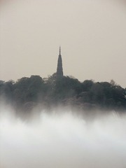 IMG_0667.jpg