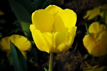 IMG_1069.JPG
