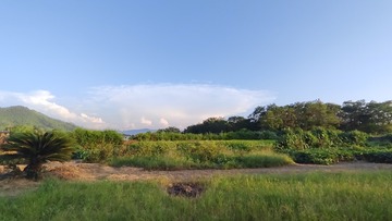 1000019081