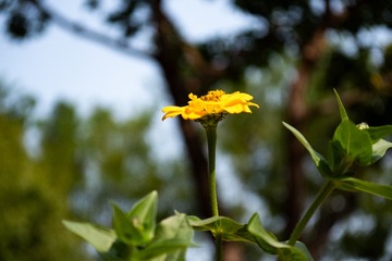 29CBE6B6-1797-4A15-BFD5-F70950EF404C/L0/001