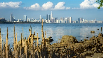 _DSC7117