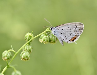2F09FBC0-E7F1-48FD-8581-5DA225317726/L0/001