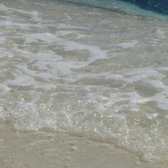 EB67B9F0-B16D-4B59-A4E4-C9804214CFF4/L0/001