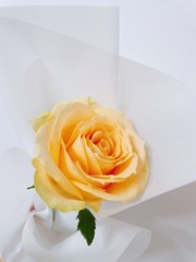 86AE070A-7D5D-4841-A9B9-61B535E87A23/L0/001