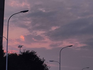 1000002277