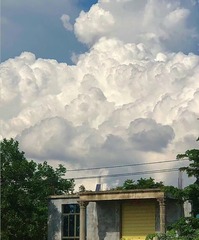 964449