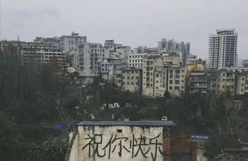 976004