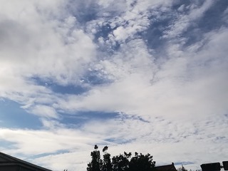 833