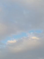 19032