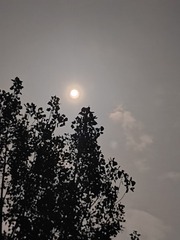 1000011351