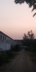 5908345