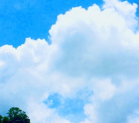 29FC3F1F-53E8-4091-8CC9-C60D5D35D823/L0/001
