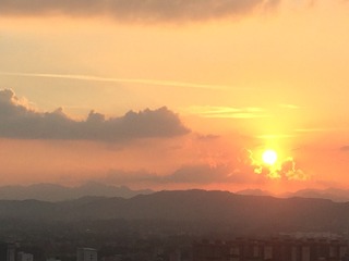 B7D89AB3-E71C-48D8-8977-6C8492107426/L0/001