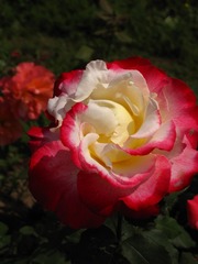 E434F754-79F2-4591-A582-F231C3960740/L0/001