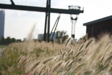 IMG_0417.JPG