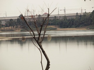 O7089351.JPG