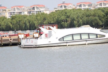 IMG_5231.JPG