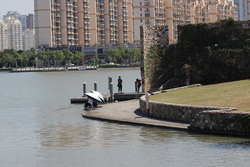 IMG_5239.JPG