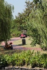 IMG_5006.JPG