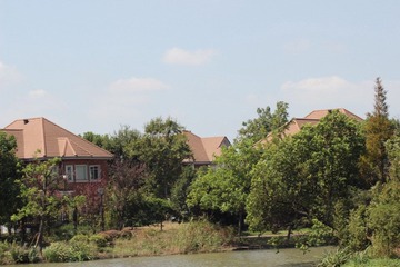 IMG_5035.JPG