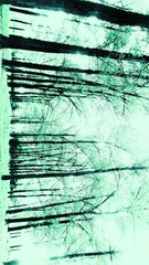 1000054656