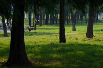 EF09A31C-314D-4C93-9CE2-B0C382F1177D/L0/001