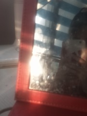 247152