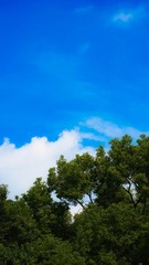 680E7042-D23B-4A31-AB50-7FF509327BA2/L0/001