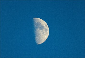 231042