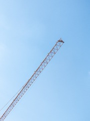 1000001161